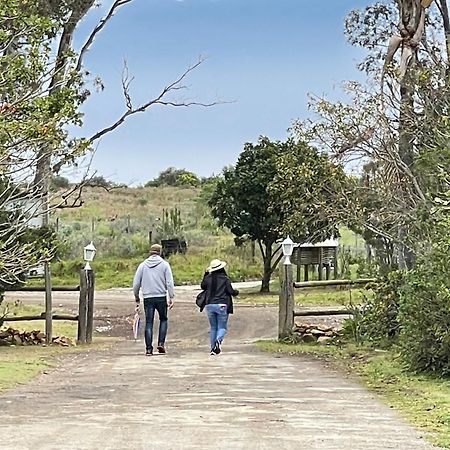 Zuurberg Mountain Village Addo Dış mekan fotoğraf