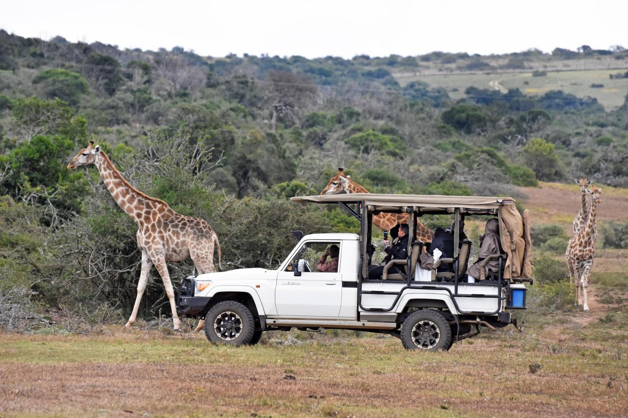 Zuurberg Mountain Village Addo Dış mekan fotoğraf