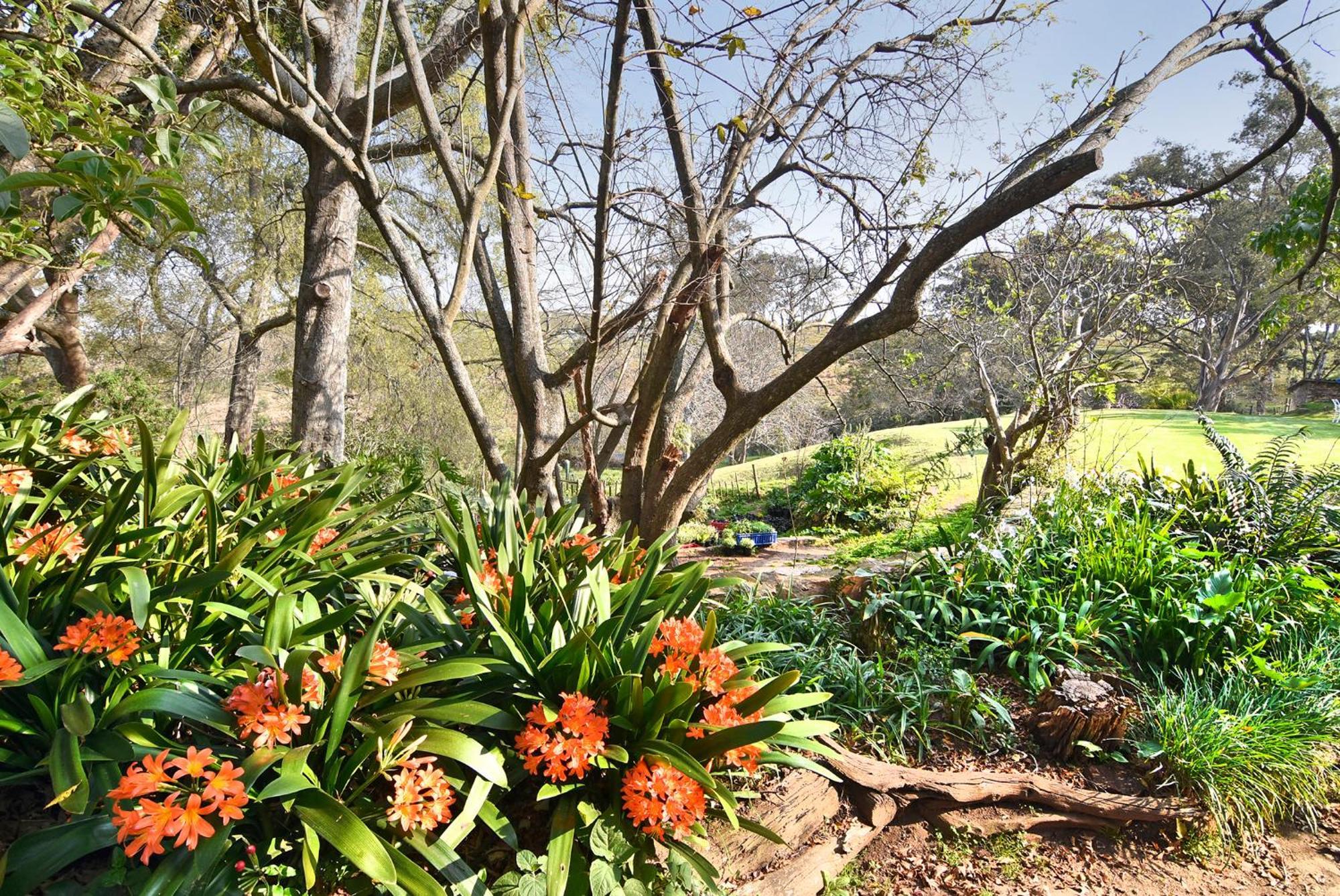Zuurberg Mountain Village Addo Dış mekan fotoğraf